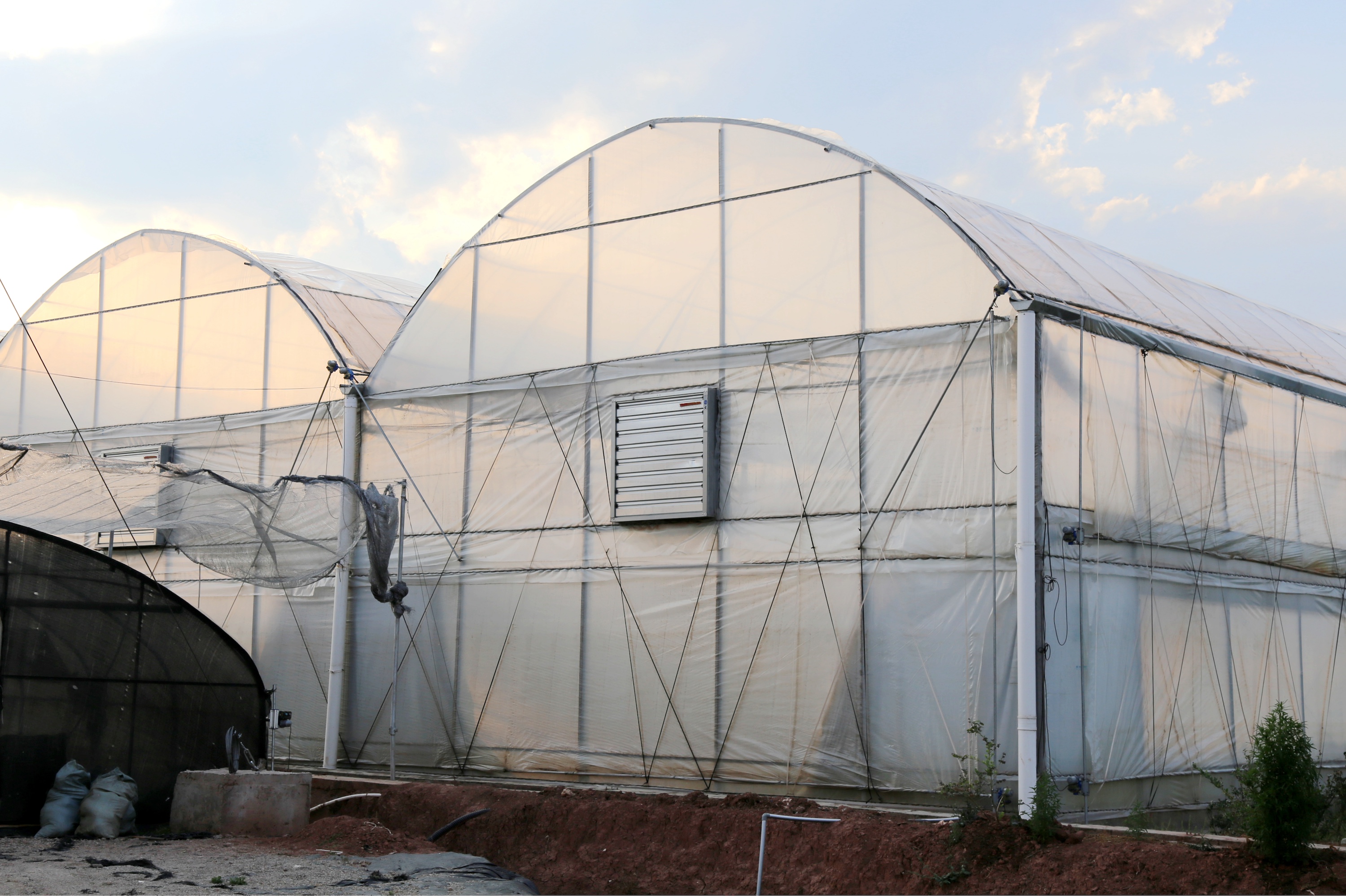 8b 圆拱屋面连栋塑料薄膜温室-温室外景.JPG
