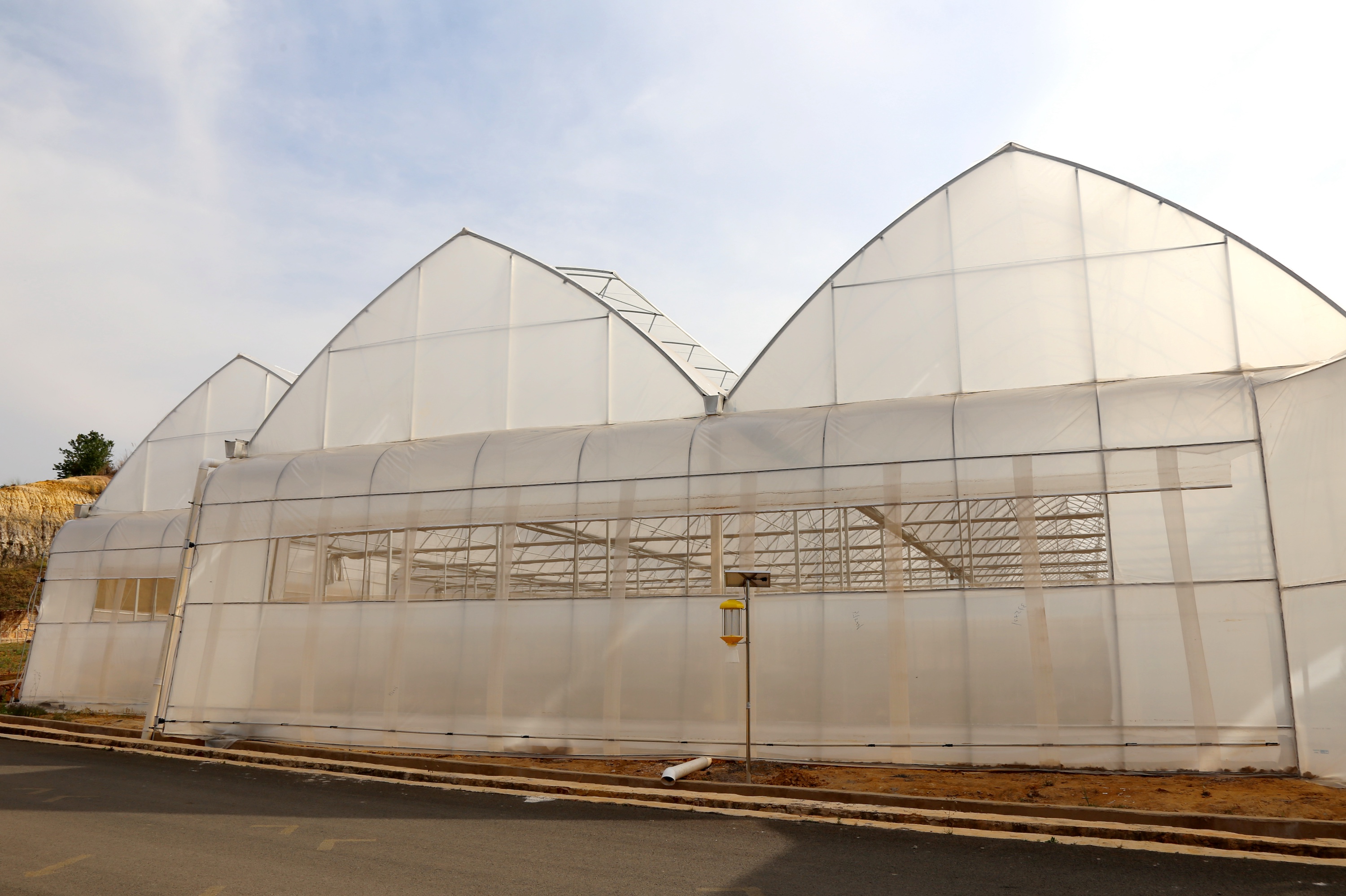 9a 桃心屋面连栋塑料薄膜温室-温室外景.JPG